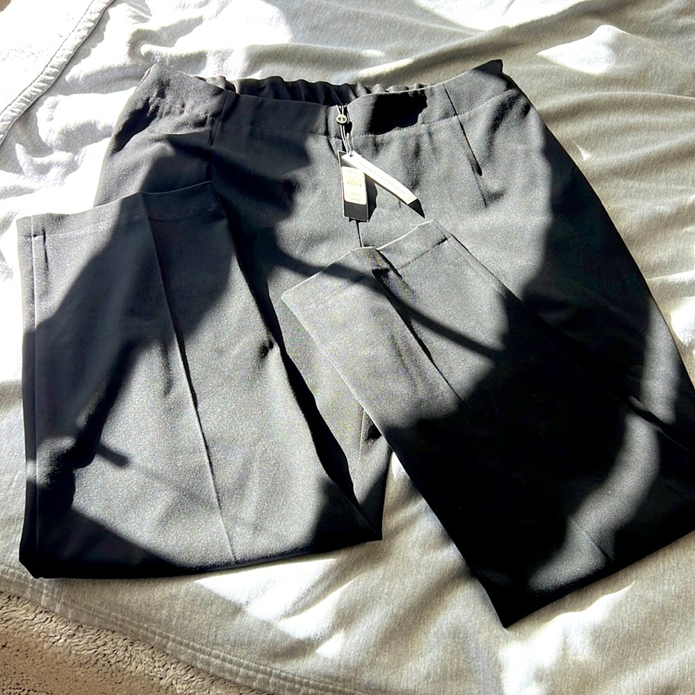 NWT Talbots pants